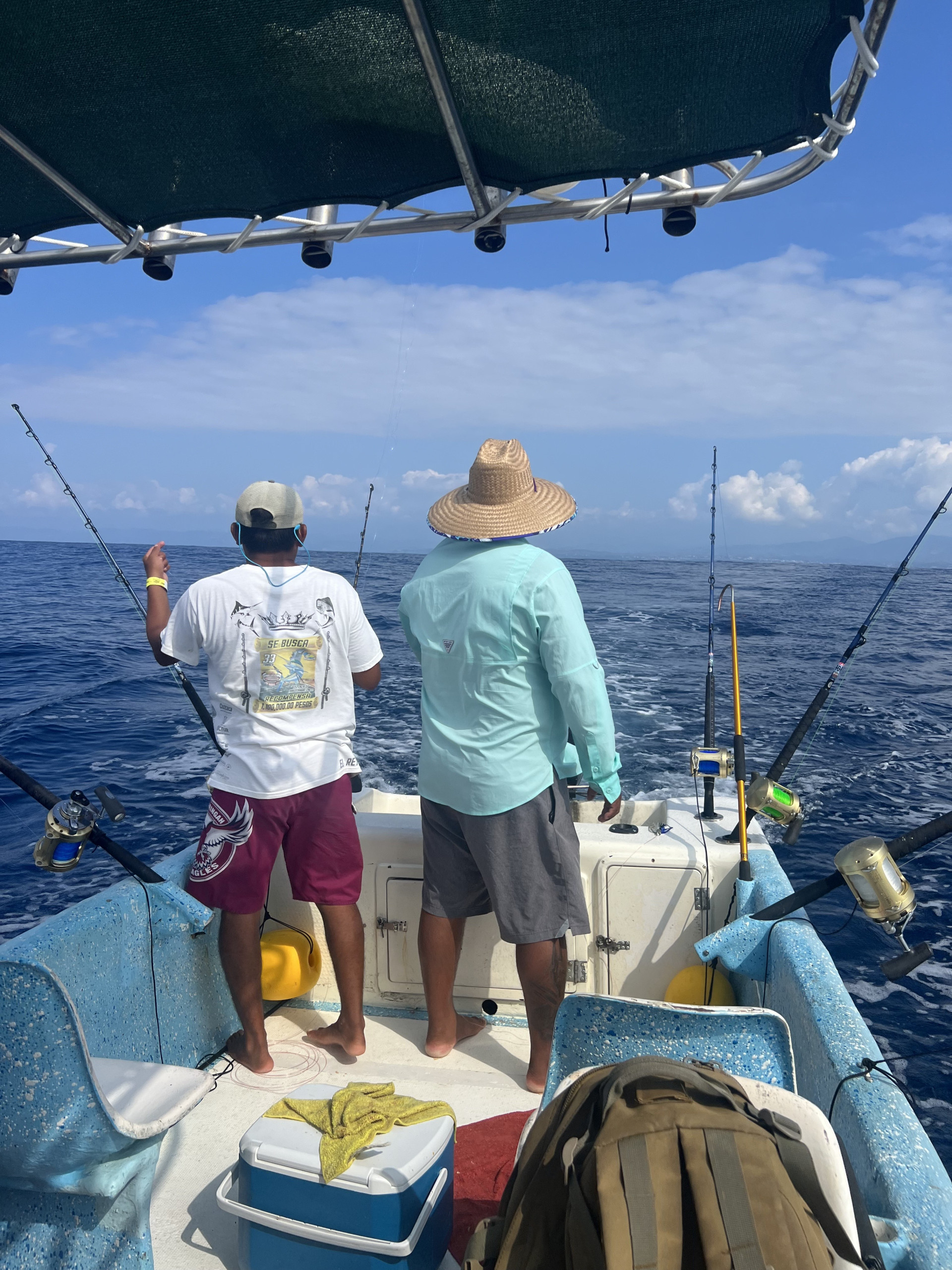 Viaje de Pesca (Medio Día) - Imagen 2